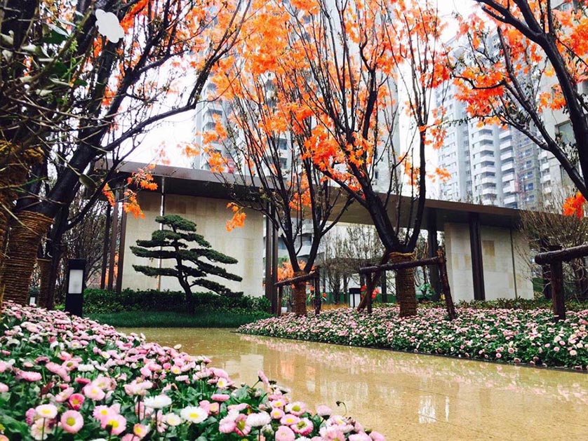紫台5.jpg