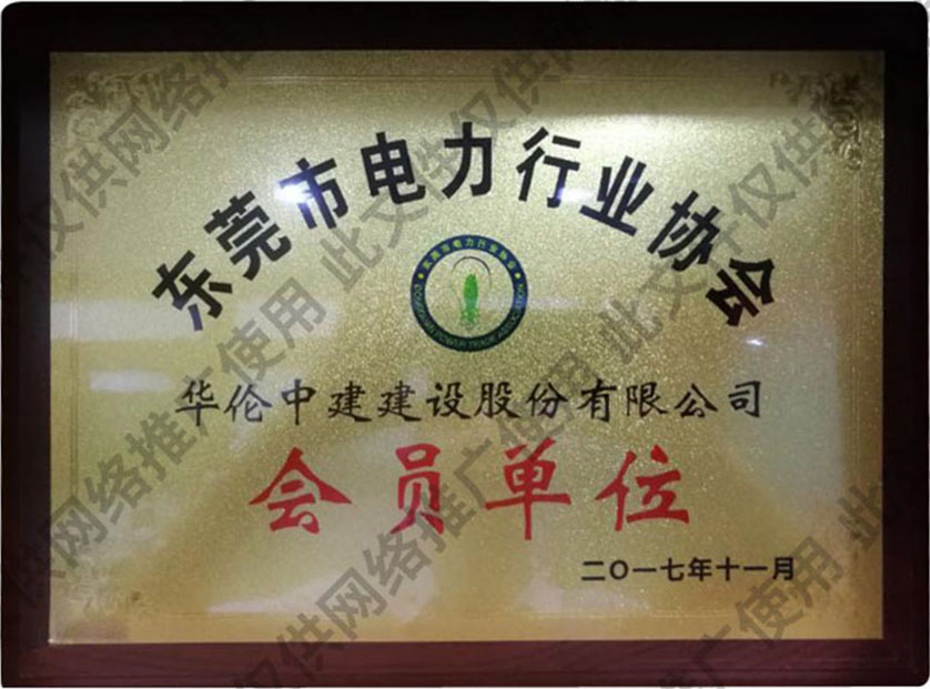 东莞电力行业协会会员单位.jpg