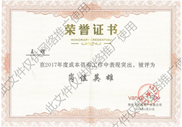 王明荣誉证书
